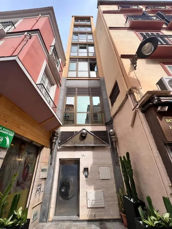 Ilustre Rooms Málaga